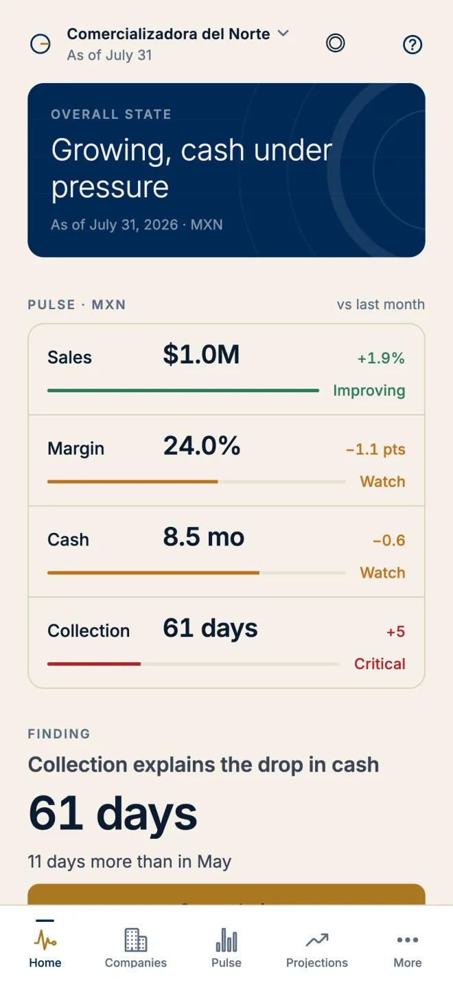 GALD for iPhone home: overall state “Growing, cash under pressure” and the pulse of sales, margin, cash, and collection.
